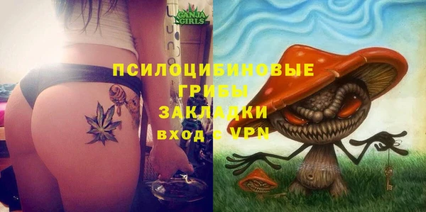 амфетамин Алексин